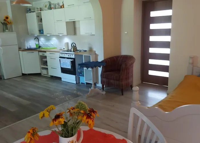 Ogrod Palacowy דירה Złocieniec