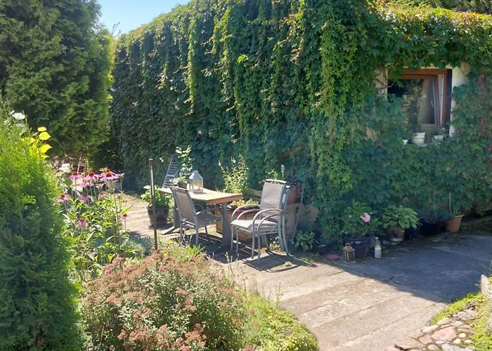 Lejlighed Ogrod Palacowy Złocieniec